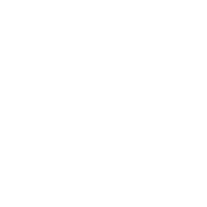 SETL-logo_03white SETL-logo_03white